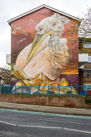 Pompey Pelican