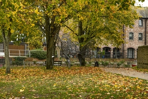 The Canal Today