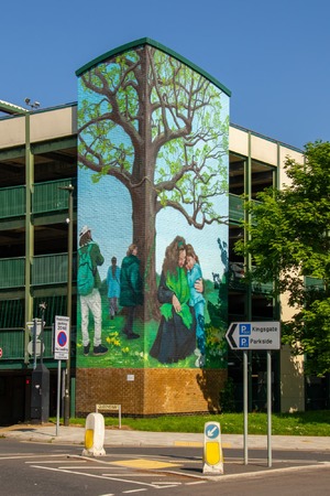 Crawley Oak
