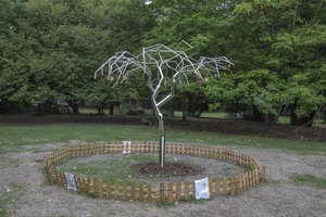 Berkshire SANDS Baby Memorial Tree