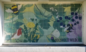 Holyrood Wildlife Mural 2