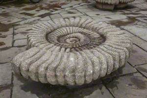 Ammonite Benches