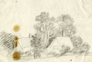 Cottages amid Trees