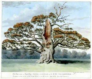 The Oak in Winfarthing, Norfolk