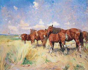 Suffolk Punches, Mares and Foals