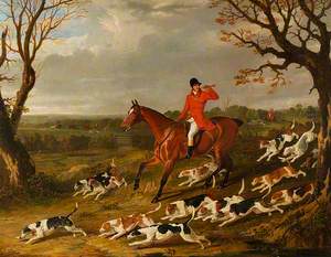 Hunting Scene with Foxhounds