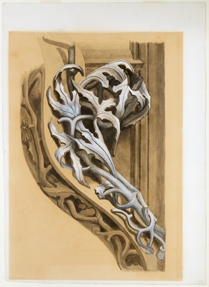 Study of Leaf Crocket, Choir Stalls, Amiens Cathedral, France