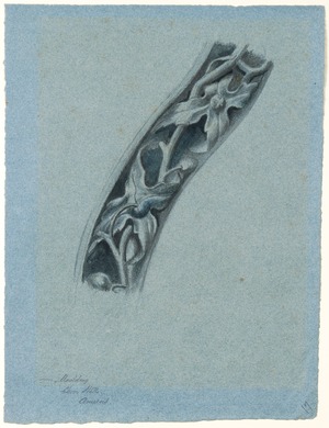 Study of Leaf and Fruit Moulding, Choir Stalls, Amiens Cathedral, France