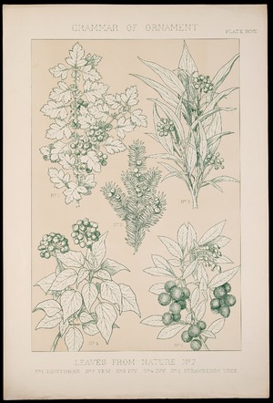 'Leaves from Nature, No. 7', from 'The Grammar of Ornament', Plate XCVII