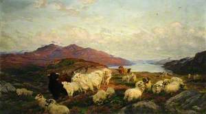 Landscape with Cattle and Sheep