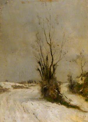 Landscape in Snow