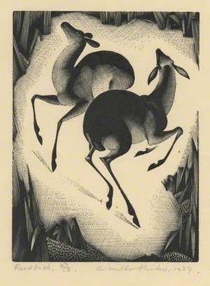 Reed Buck