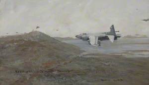 Harriers over West Falkland