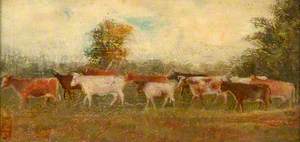 Cows on the Mead, Egham