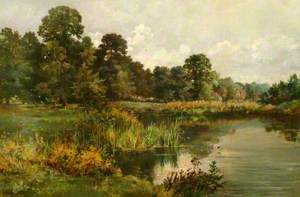 The Old Mill Pond, Netley, Shere, Surrey