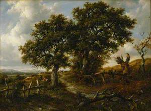 A Woodland Scene