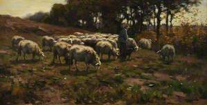 Sheep with Shepherd