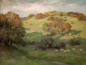 Sheep on Hill, Galloway