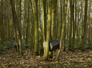 Stone Coppice