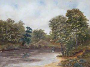 On the River Doon near Dalmellington