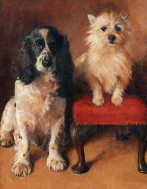 Spaniel and Terrier