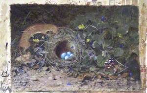 The Nest in Danger