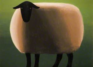 Black-Faced Sheep