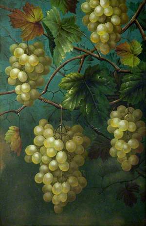 Still Life of Grapes and Vine