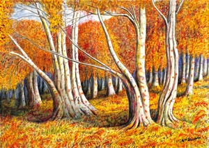 A Beech Grove in Autumn