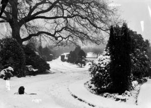 Longton Park Winter Time