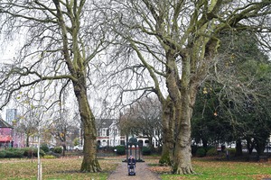 Grange Gardens
