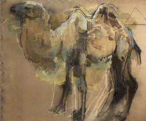 Camel