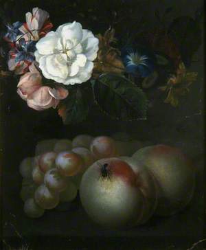Study of Fruit and Flowers