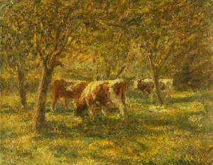Cows in the Orchard