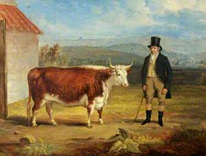 Mr James Hodges and His Two-Year-Old Hereford Heifer
