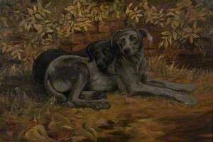 Two Dogs, 'Juliet' and 'Faust'