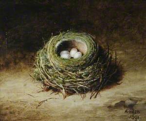 Nest with Four Eggs