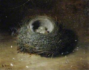 Nest with Three Eggs