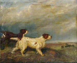 Two Hunting Dogs