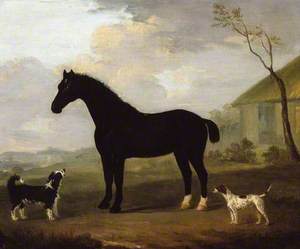 A Black Horse with Two Dogs