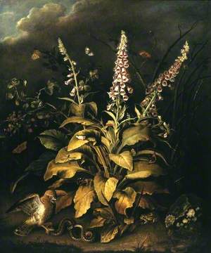 Foxgloves and Brambles, with a Hawk Confronting an Adder