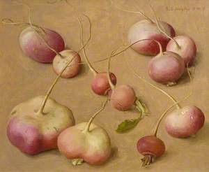 Pink and White Turnips