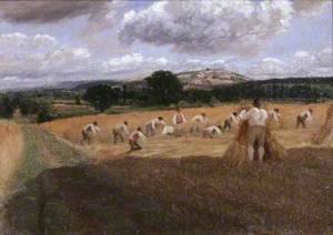 Harvest Field with Reapers, Haywood, Herefordshire