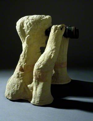 Man Scanning the Distance