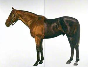 Half-Brother (Exit to Nowhere - Machiavellian)