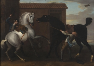 Two Stallions Fighting