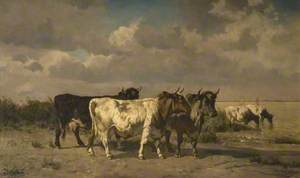 Dutch Canal, with Cattle