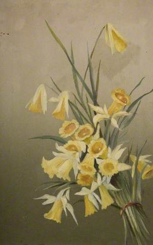 Daffodils