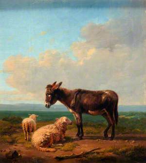 Donkey and Lambs