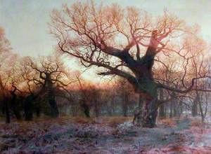 In Sherwood Forest, Nottinghamshire: Winter Evening after Rain